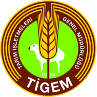 Tigem